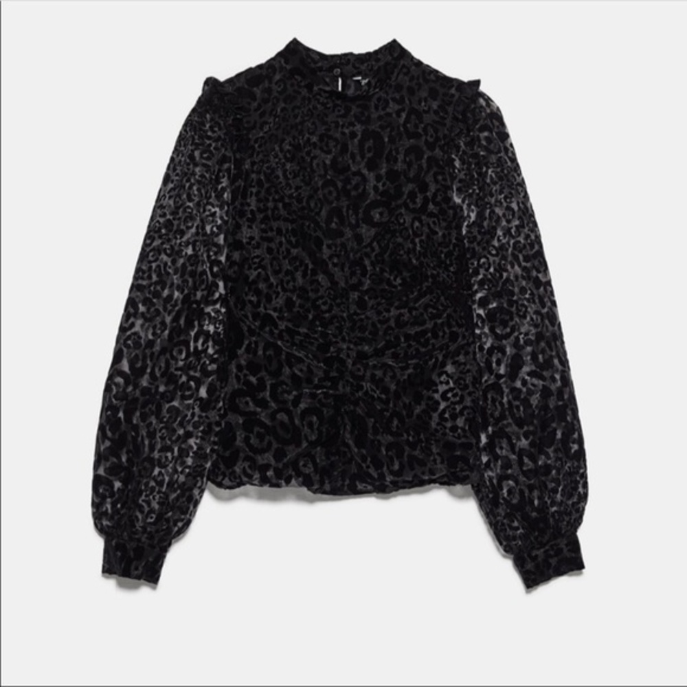 Zara NWT organza blouse - Picture 5 of 10